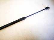 Gasdruckfeder Kofferraum Renault Megane, III 2008.11 - 2012.06 844300009r,