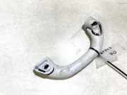 Haltegriff Haltegriff Verdeckgriff - Vorne Rechts Volkswagen Golf, IV 1997.08 - 2003.10 Gebraucht, Agr