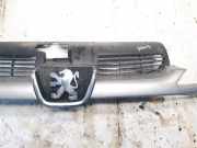 Kühlergrill Frontgrill Kühlergitter Peugeot 206, 1998.08 - 2002.07 9628691277, 9628934280