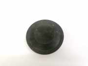 Blende Scheinwerfer - Vorne Renault Scenic, II 2003.06 - 2006.06 153874,