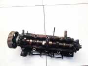 Zylinderkopf Peugeot 406, 1995.11 - 1999.03 Gebraucht,