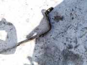 Halteband Kraftstoffbehälter Mazda 3, BK 2003.10 - 2009.06 Gebraucht,