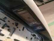 Kennzeichenleuchte Renault Laguna, II 2001.03 - 2006.05 Gebraucht,