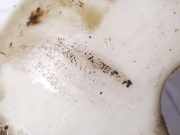 Scheibenwaschbehälter Vorne Wischwasserbehälter Citroen Berlingo, I 2002.11 - 2008.04 facelift 9617190280,3523900006