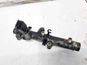 Kraftstoffverteiler Audi A6, C6 2005.01 - 2008.10 059130089D,