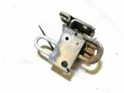 T?rscharnier Vorne Volkswagen Passat, B5 1996.08 - 2000.11 Gebraucht, Afn