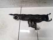 Ansaugkrümmer Hyundai Sonata V (NF) 2005.01 - 2010.12 Gebraucht,
