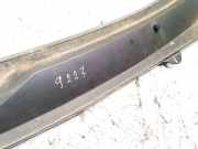 Windlauf Wischerabdeckung Opel Insignia A, 2008.01 - 2013.01 13243480, 1154682