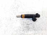 Einspritzdüse BMW 7-Series, E65 E66 E67 E68 2001.11 - 2008.06 7506924,1234b04009