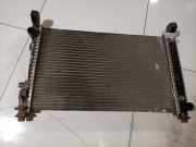 Wasserkühler Mercedes-Benz W245 2005 - 2011 A1695000503,A1695000503