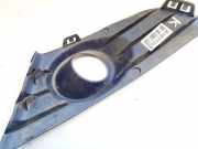 K?hlergrill - Vorne Linke Citroen C4, I 2004.11 - 2008.06 20100626,