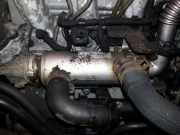 Abgaskühler AGR-Kühler Suzuki SX4, 2006.06 - 2012.12 9646762280,VP1U3H-9P445-BB