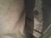 Türschloss Stangen - Hinten Rechts Audi A6, C5 1997.01 - 2001.08 Gebraucht,