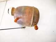 Ausgleichsbehälter Renault Scenic, I 1996.01 - 1999.09 7700839184e,