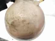 Ausgleichsbehälter Ford Galaxy, Mk I 2000.04 - 2006.04 facelift 7M3121407A, YM218K218AB