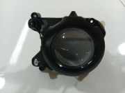 Nebelscheinwerfer - Vorne Linke Audi A6, C6 2005.01 - 2008.10 16015700L, 160 157-00 L