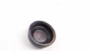 Blende Scheinwerfer - Vorne Dacia Sandero, II 2012.03 --> P3237,P3237