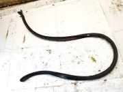 Türdichtung - Vorne Rechts Renault Zoe I 2012 - 2020.06 Gebraucht,