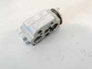 Expansionsventil für Klimaanlage Audi Q7, 2006.03 - 2010.05 4l0820712,