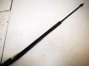 Gasdruckfeder Kofferraum Toyota Corolla Verso, II 2001.09 - 2004.05 689600w091a,