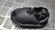 Türinnengriff - Hinten Linke Renault Scenic, II 2003.06 - 2006.06 8200028487, 5005400006