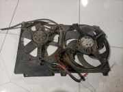 Kühlerlüfter Lüftermotor Fiat Ducato, 2002.04 - 2006.07 Gebraucht,