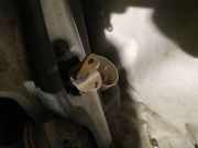 Türfangband Türbremse Türstopper - Vorne Rechts Chrysler Voyager, IV 2000.02 - 2008.12 Gebraucht,