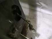 T?rfangband T?rbremse T?rstopper - Hinten Rechts Renault Megane, I 1999.03 - 2002.10 facelift Gebraucht,