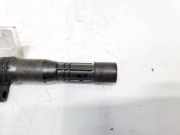 Zündspule Renault Scenic, II 2003.06 - 2006.06 7700875000, 7700107177