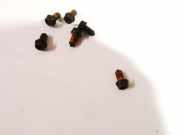 Schwungradschraube Volkswagen Polo, II 1990.10 - 1994.09 facelift Gebraucht,