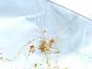 Seitenscheibe - Vorne Linke Skoda Superb, I 2001.12 - 2008.03 Gebraucht,