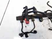 Kraftstoffverteiler Citroen C5, I 2001.03 - 2008.02 0445214019,