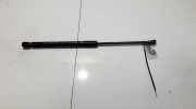 Gasdruckfeder Kofferraum Volkswagen Polo, II 1990.10 - 1994.09 facelift 6M0827550A,