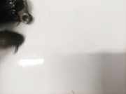 Gleitschiene Steuerkette Mazda 5, CR 2005.02 - 2010.09 vkm74616kr,