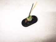 Blinkleuchte Kotflügel - Vorne Rechts Renault Scenic, I 1996.01 - 1999.09 6r0142789,