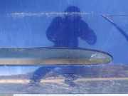 Zierleiste Tür Zier-Schutzleiste - Vorne Rechts Nissan Almera, N16 2003.01 - 2006.12 facelift Gebraucht,