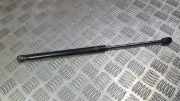 Gasdruckfeder Kofferraum Renault Megane, II 2002.11 - 2006.06 8200051750,