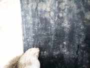 Radhausschale - Vorne Rechts Opel Insignia A, 2008.01 - 2013.01 13241161, 324461698