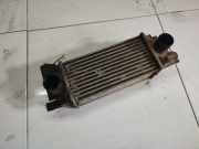 Ladeluftk?hler Land-Rover Freelander, 1998.02 - 2006.10 Gebraucht,