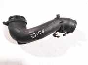 Intercooler Schlauch Citroen C8, I 2002.07 - 2008.06 24442216,0317253mb