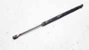 Gasdruckfeder Kofferraum Volkswagen Touran, 2003.01 - 2006.10 Gebraucht, Avq