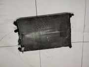 Wasserkühler Renault Scenic, I 1999.09 - 2003.06 facelift Gebraucht,
