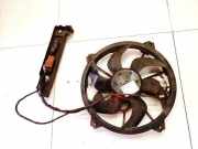 Kühlerlüfter Lüftermotor Citroen C5, II 2008.02 - 2011.01 Gebraucht,