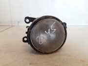 Nebelscheinwerfer - Vorne Rechts Renault Laguna, III 2007.10 - 2010.11 89202502,8200074008 89210094