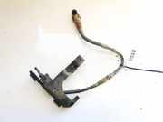 Lambdasonde -4 Drähte WEISS WEISS SCHWARZ GRAU Volkswagen Golf, V 2003.10 - 2008.10 036906262,0258006593