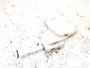 Scheibenwaschbeh?lter Vorne Wischwasserbeh?lter Opel Insignia A, 2013.01 - 2017.06 facelift 401140137,13227295