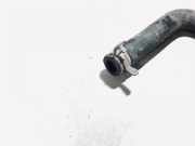 Kühlerschlauch Chrysler PT Cruiser, I 2000.01 - 2010.12 101701am,