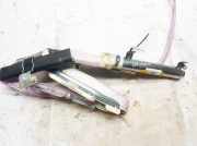 Kopfairbag - Vorne Linke Volvo S80, 1998.05 - 2004.06 6019994300, 30698526