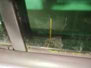 Seitenscheibe - Hinten Rechts Renault Espace, IV 2002.11 - 2014.12 AS3,