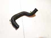 Kühlerschlauch Renault Scenic, I 1999.09 - 2003.06 facelift Gebraucht,